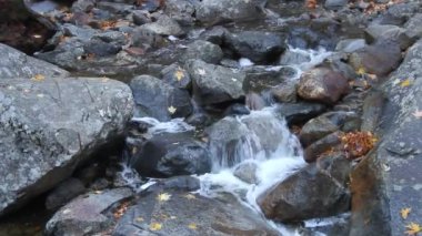 Yosemite Ulusal Parkı Kaliforniya 'da