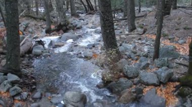 Yosemite Ulusal Parkı Kaliforniya 'da