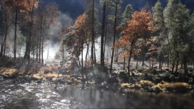 Yosemite Ulusal Parkı Kaliforniya 'da