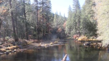 Yosemite Ulusal Parkı Kaliforniya 'da