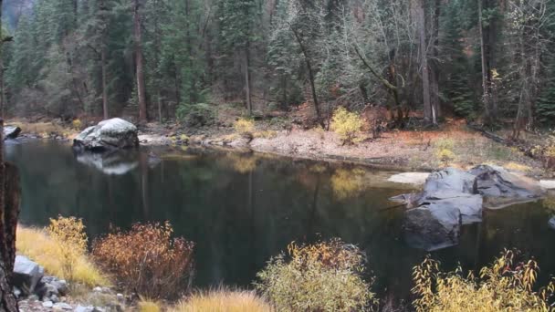 Parco Nazionale Dello Yosemite California — Video Stock