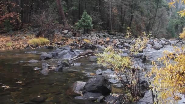 Park Narodowy Yosemite Kalifornii — Wideo stockowe