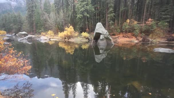 Parc National Yosémite Californie — Video