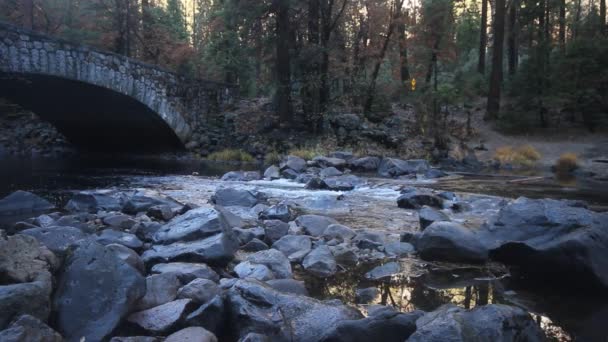 Parque Nacional Yosemite Califórnia — Vídeo de Stock