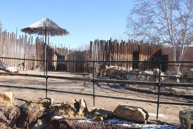 1/10/2019: Albuquerque, New Mexico: Albuquerque New Mexico Hayvanat Bahçesi