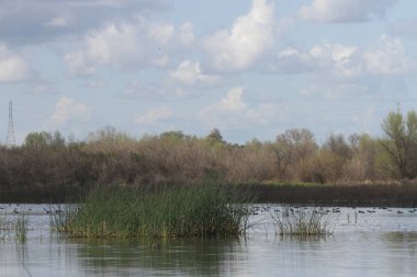 San Joaquin Yaban Hayatı Koruma Kaliforniya