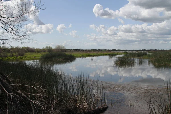 San Joaquin Yaban Hayatı Koruma Kaliforniya