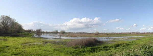 San Joaquin Wildlife Preserve California — Stock Photo, Image