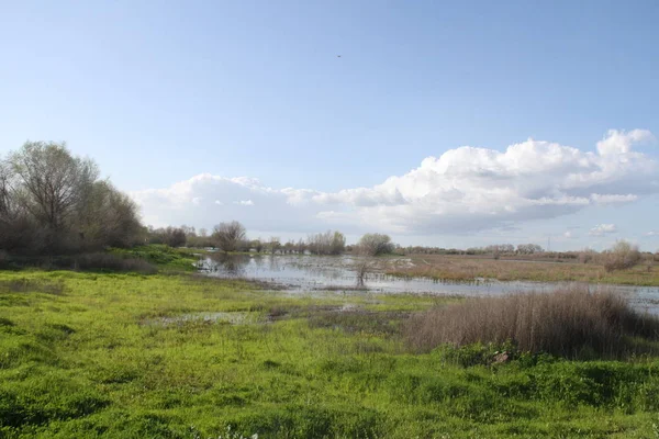 Conservación de Vida Silvestre de San Joaquín California — Foto de Stock