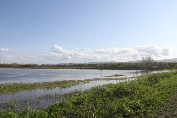 San Joaquin Wildlife Preserve Califórnia — Fotografia de Stock