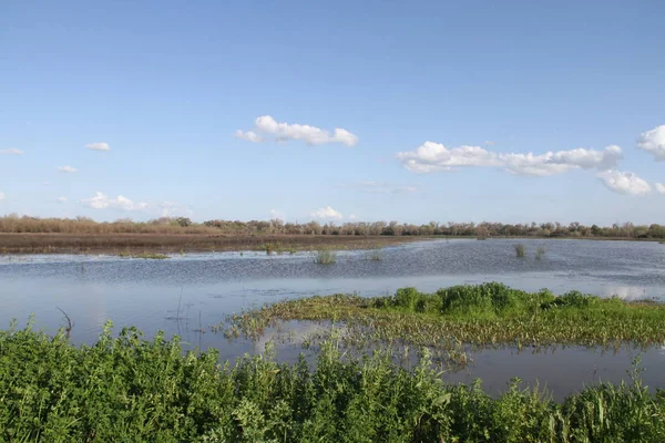 San Joaquin Wildlife Preserve Califórnia — Fotografia de Stock