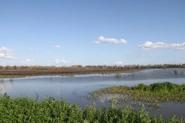 San Joaquin Wildlife Preserve Califórnia — Fotografia de Stock