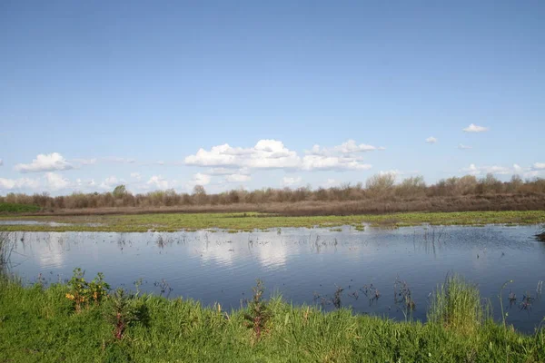 San Joaquin Wildlife Preserve Califórnia — Fotografia de Stock