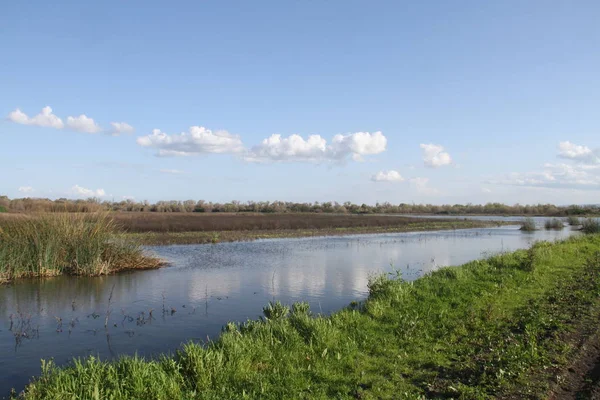 San Joaquin Wildlife Preserve Califórnia — Fotografia de Stock