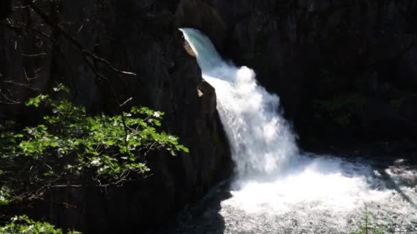 Burney Mccloud Falls California — Stock Video