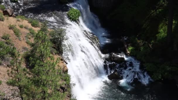 Burney Mccloud Falls Californië — Stockvideo