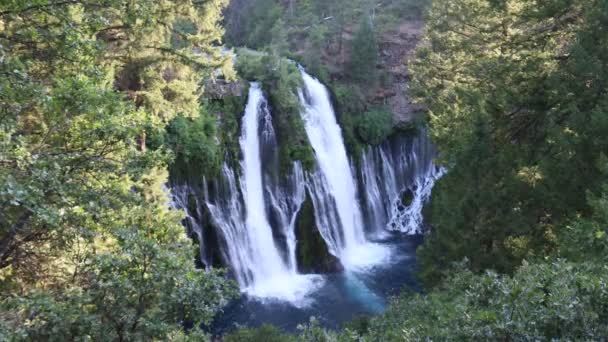 Берні Mccloud Falls Каліфорнії — стокове відео