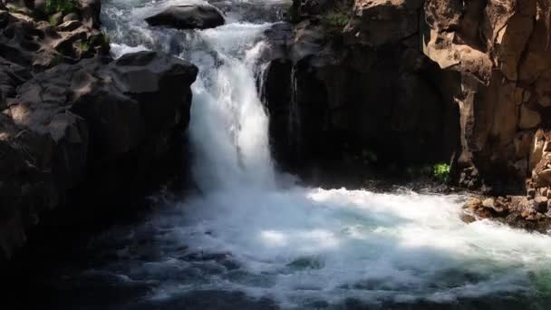 Burney Mccloud Falls Californië — Stockvideo