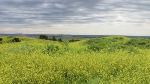 Nationaal Park Badlands Zuid Dakota — Stockvideo