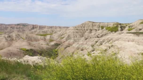 Vadvidék Nemzeti Park Dél Dakota — Stock videók