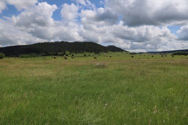 Güney Dakota Cave Wind Milli Parkı