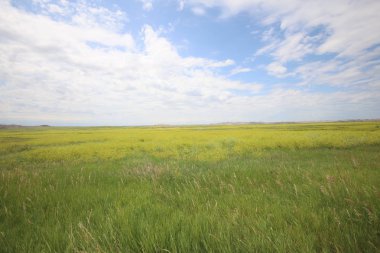 Güney Dakota 'daki Çorak Topraklar Ulusal Parkı
