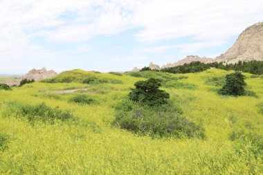 Güney Dakota 'daki Çorak Topraklar Ulusal Parkı