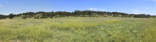 Custer State Park nel Dakota del Sud — Foto Stock