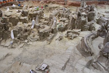 Hot Springs Güney Dakota Mamut müzesi