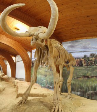 Hot Springs Güney Dakota Mamut müzesi