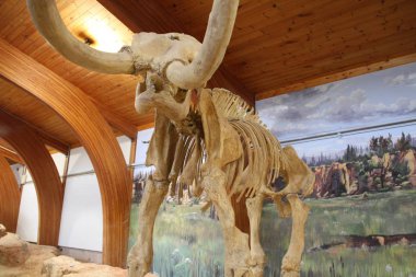 Hot Springs Güney Dakota Mamut müzesi