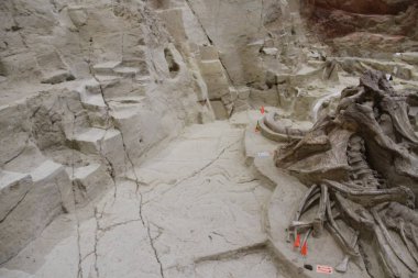 Hot Springs Güney Dakota Mamut müzesi