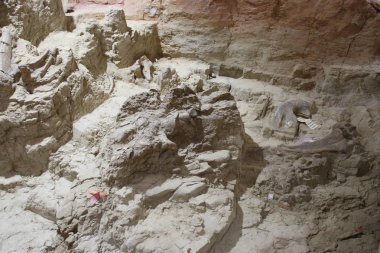 Hot Springs Güney Dakota Mamut müzesi