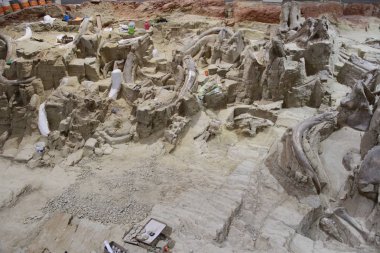 Hot Springs Güney Dakota Mamut müzesi