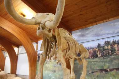 Hot Springs Güney Dakota Mamut müzesi