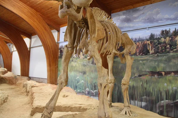 Mammoth Múzeum Hot Springs Dél-Dakota — Stock Fotó