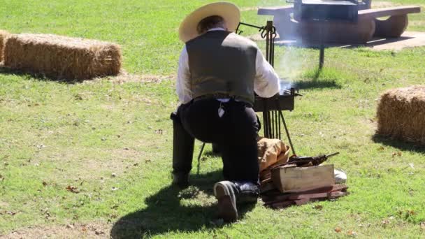 2019 Marysville Civil War Reenactment — Stock Video