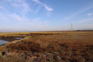 Kuş izleme, Baylands, California