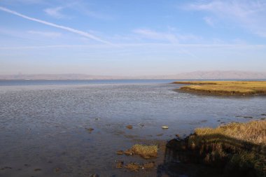 Kuş izleme, Baylands, California