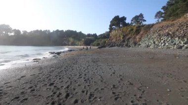 Van Damme Eyalet Parkı, Kaliforniya