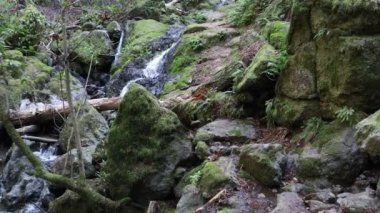 Katarakt Marin California 'ya düştü