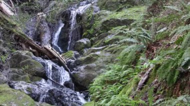 Katarakt Marin California 'ya düştü