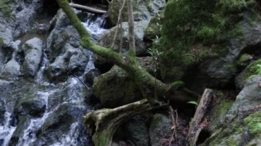 Katarakt Marin California 'ya düştü