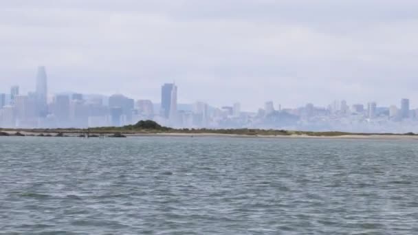 Zeilen San Francisco Baai — Stockvideo