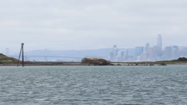 Navegando Baía São Francisco — Vídeo de Stock