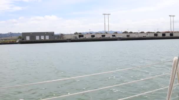 Vela Bahía San Francisco — Vídeo de stock