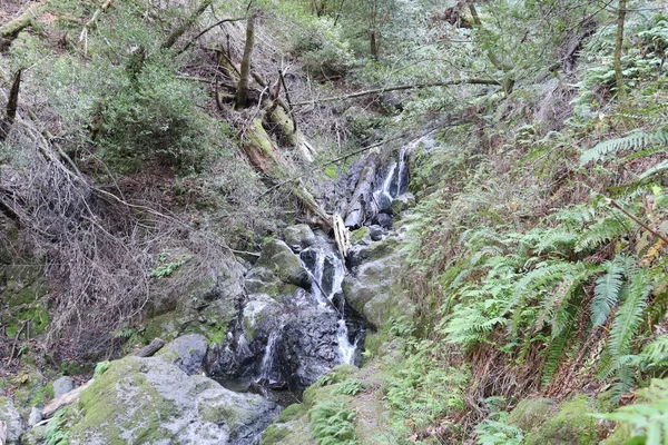 Foto Von Katarakt Stürzen Norden Von San Francisco — Stockfoto