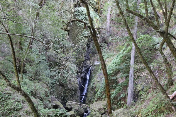 Foto Catarata Cai Norte São Francisco — Fotografia de Stock