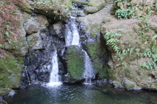 Foto Catarata Cai Norte São Francisco — Fotografia de Stock