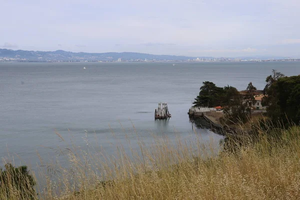Zeilen Een Zeilboot Naar Angel Eiland Baai Van San Francisco — Stockfoto